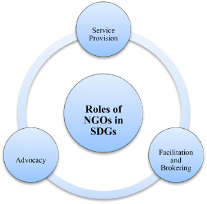 role of NGO